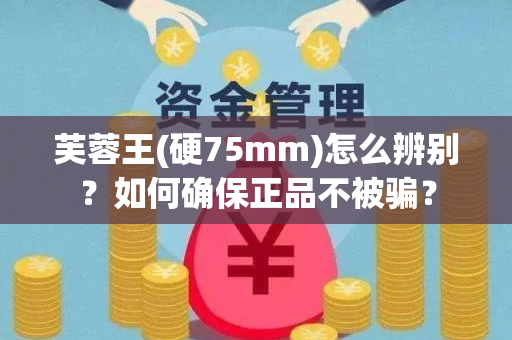 芙蓉王(硬75mm)怎么辨别？如何确保正品不被骗？
